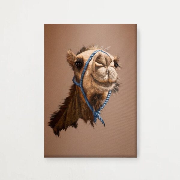 The unwavering will of a camel